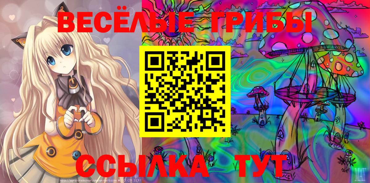 Псилоцибиновые грибы прущие грибы Сокол