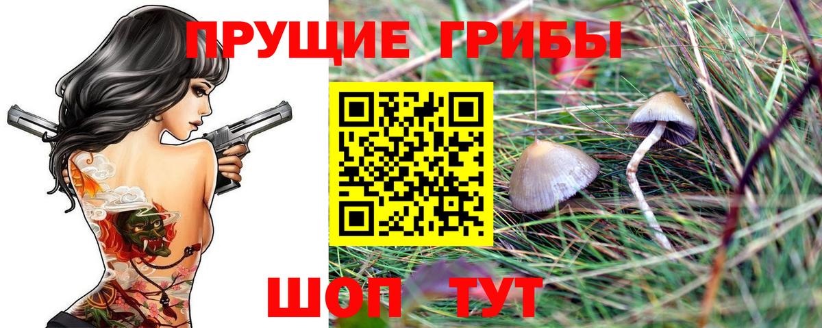 Псилоцибиновые грибы MAGIC MUSHROOMS  Вход с VPN  Псилоцибиновые грибы MAGIC MUSHROOMS  Сокол 